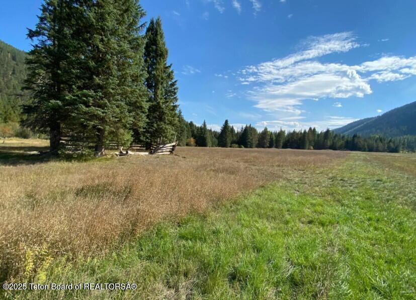 2398 Pne Crk Road Troy, MT 59935 - Photo 7 of 31 Screenshot 2024-08-24 210123