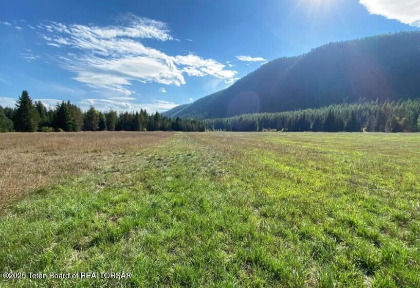 2398 Pne Crk Road Troy, MT 59935 - Photo 8 of 31 Screenshot 2024-08-24 210101