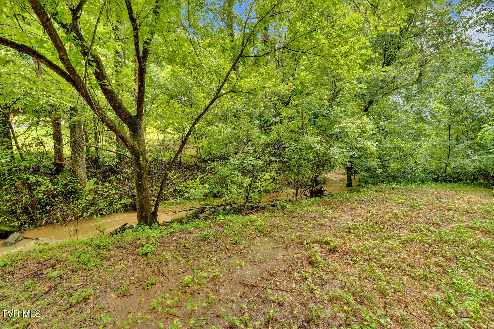 1306 Old Stage Road Johnson City, TN 37615 - Photo 7 of 32 20-web-or-mls-JH 20250813-268