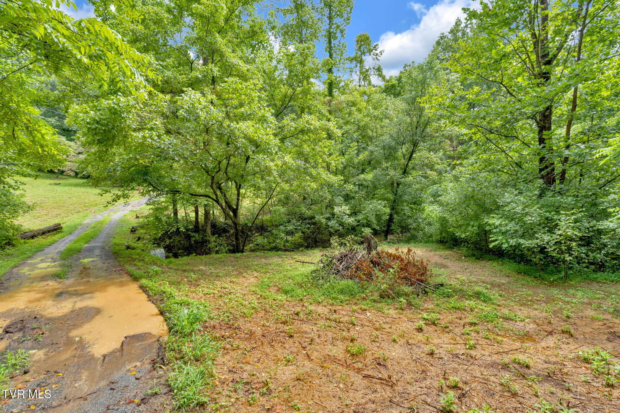 1306 Old Stage Road Johnson City, TN 37615 - Photo 10 of 32 12-web-or-mls-JH 20250813-271