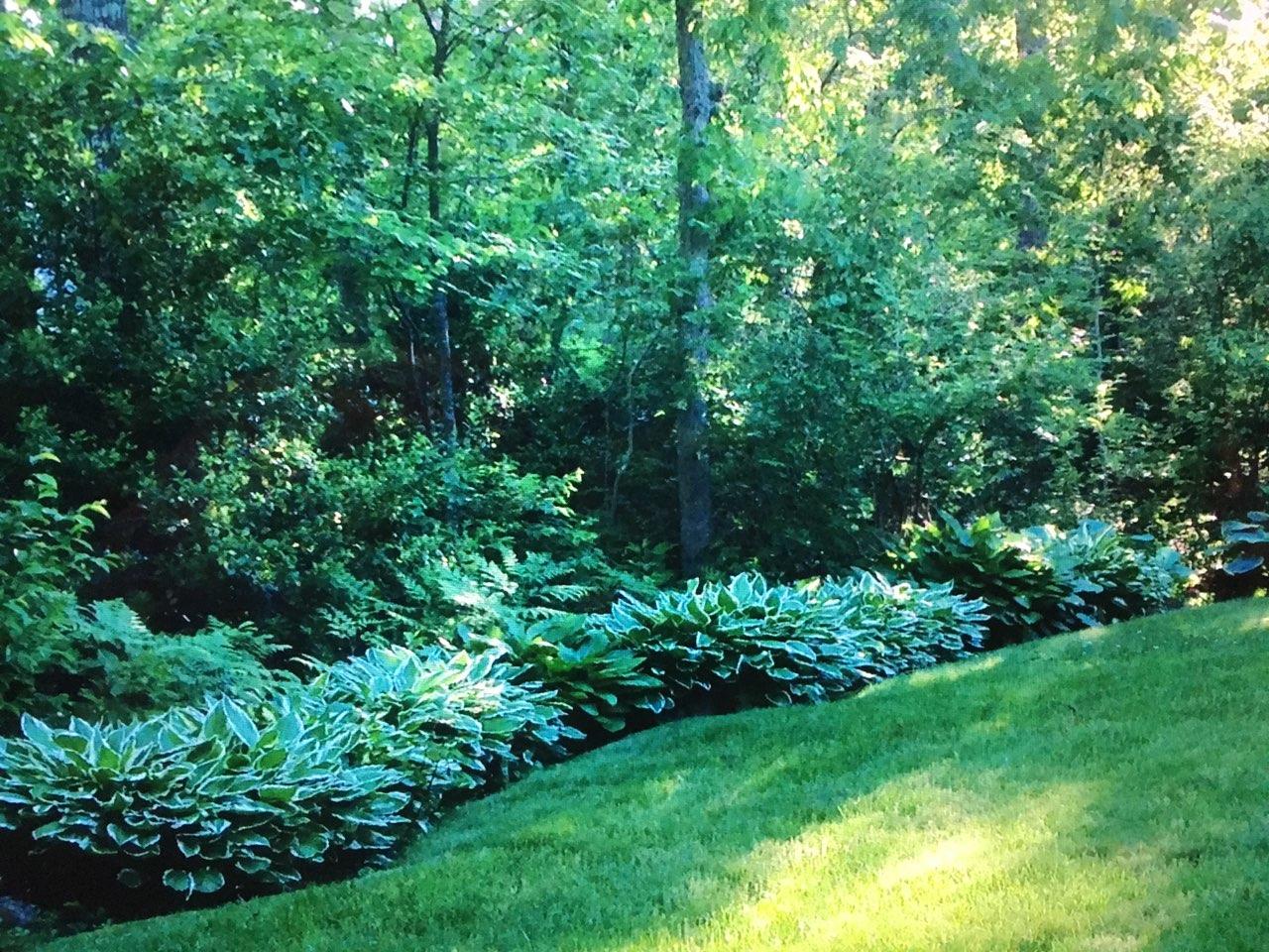 123 Camelback Road Marstons Mills, MA 02648 - Photo 26 of 30 a view of a garden