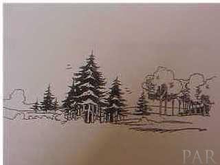 Lot 5 Curtis Road Pace, FL 32571 - Photo 1 of 1