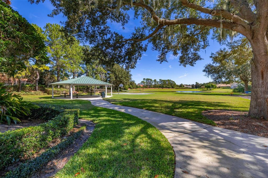 11438 Arborside Bend Way Windermere, FL 34786 - Photo 50 of 54