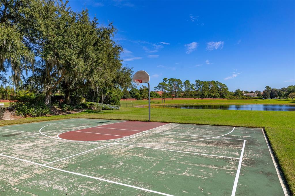 11438 Arborside Bend Way Windermere, FL 34786 - Photo 54 of 54