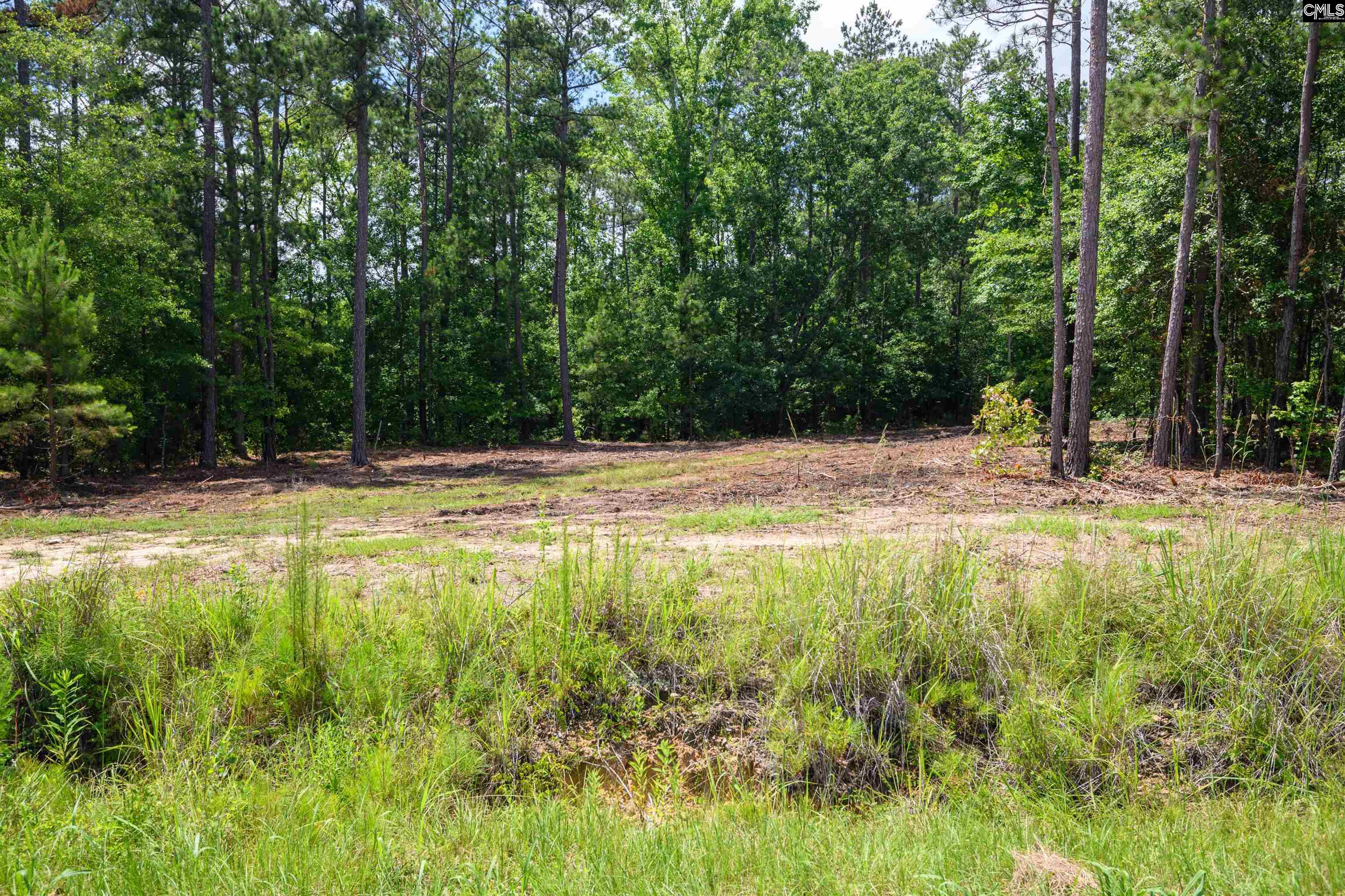227 State Rd S-32-145, Unit LOT 1 Lexington, SC 29072 - Photo 7 of 23