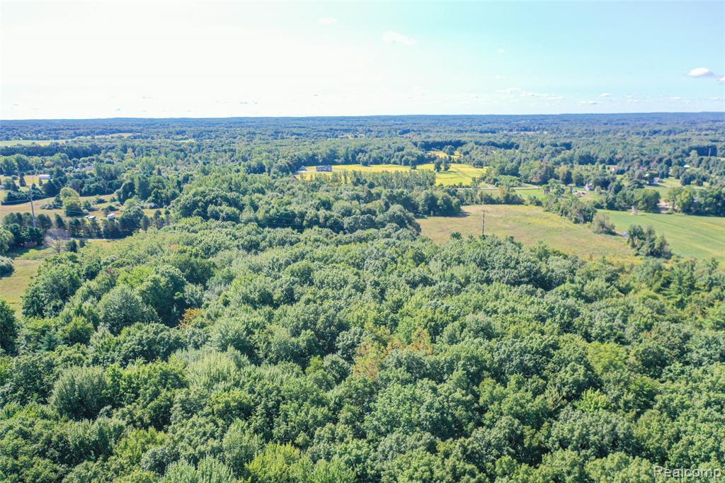 3879 Bowers Road Attica, MI 48412 - Photo 18 of 26 Gallery Image 18