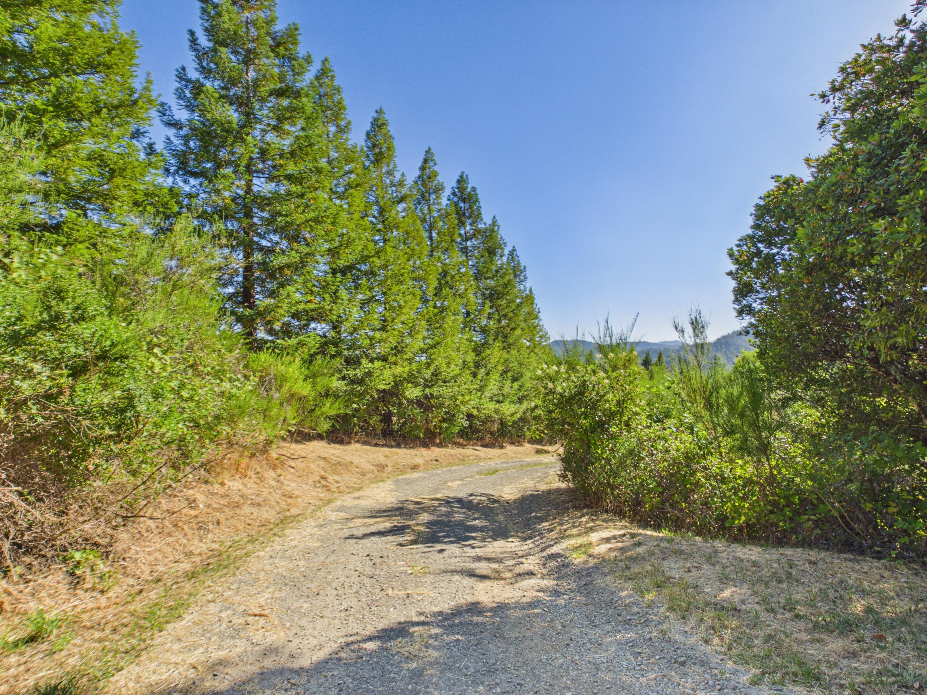133 Arthur Road Garberville, CA 95542 - Photo 49 of 60