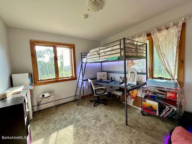 26 A Stonebridge Way Tyringham, MA 01238 - Photo 34 of 74 IMG_7765