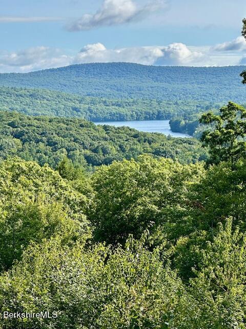 26 A Stonebridge Way Tyringham, MA 01238 - Photo 38 of 74 a view of a bunch of trees and bushes