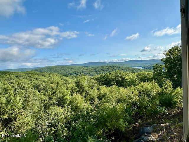 26 A Stonebridge Way Tyringham, MA 01238 - Photo 44 of 74 IMG_7753