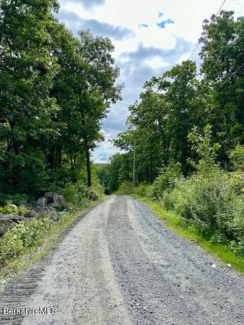 26 A Stonebridge Way Tyringham, MA 01238 - Photo 60 of 74 IMG_7885