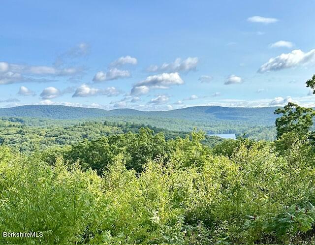 26 A Stonebridge Way Tyringham, MA 01238 - Photo 69 of 74 IMG_7786