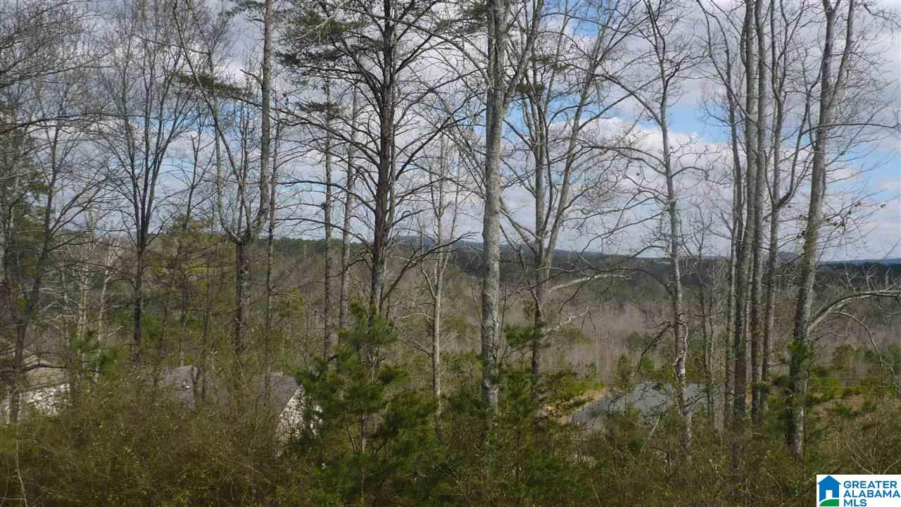 218 Levine Road Odenville, AL 35120 - Photo 3 of 9