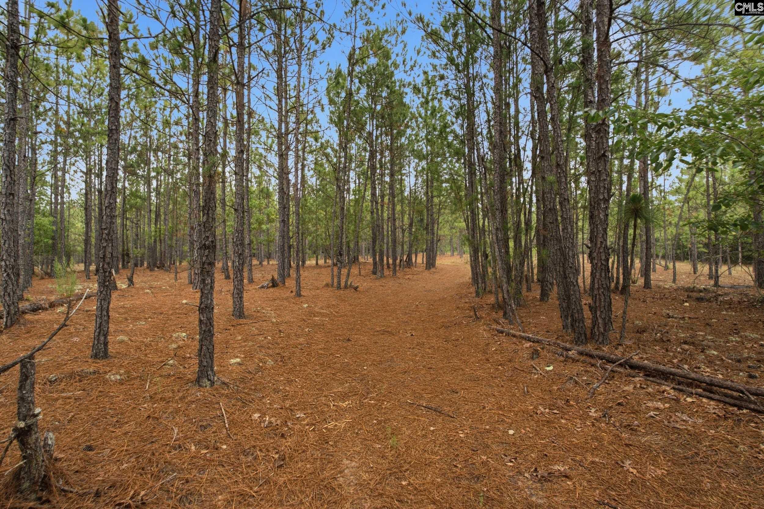 3390 State Rd S-28-496 Kershaw, SC 29067 - Photo 1 of 26