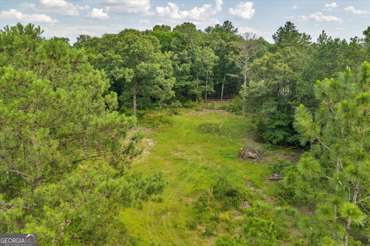 3826 Boy Scout Road Byron, GA 31008 - Photo 50 of 53