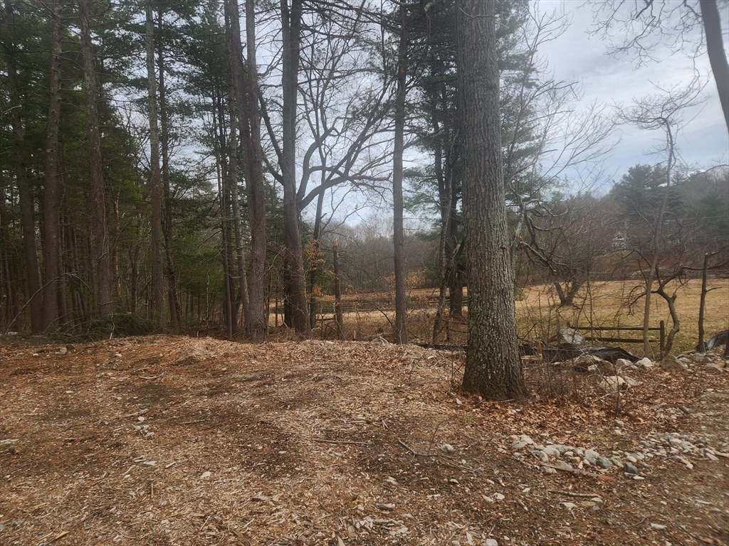 63 Farm Road Sherborn, MA 01770 - Photo 3 of 8 a big yard with trees in the background