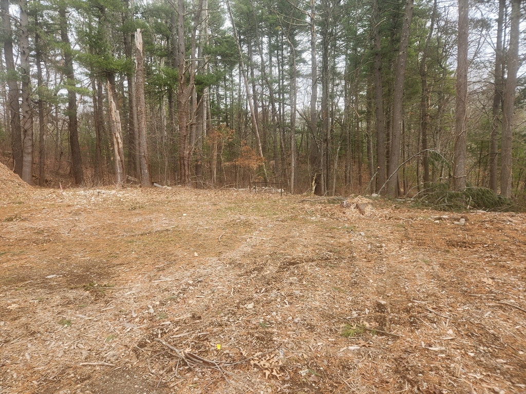 63 Farm Road Sherborn, MA 01770 - Photo 4 of 8 a view of outdoor space with trees