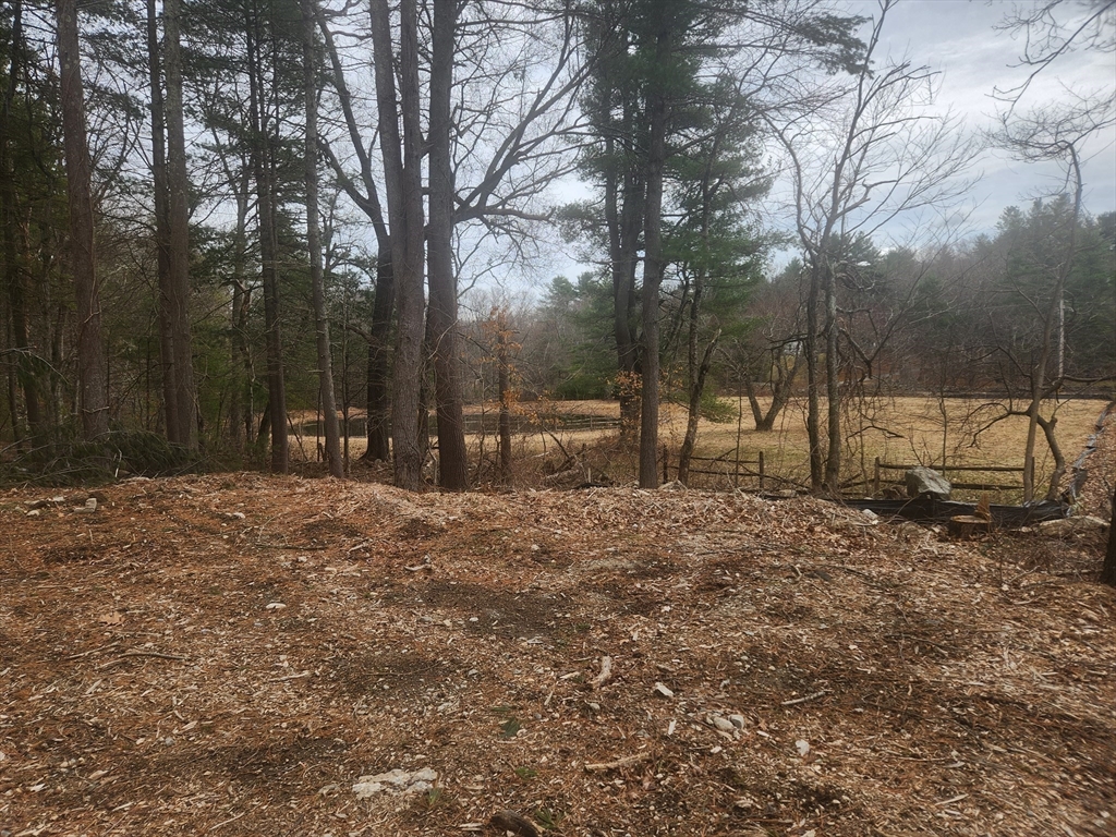 63 Farm Road Sherborn, MA 01770 - Photo 5 of 8 a view of outdoor space with trees