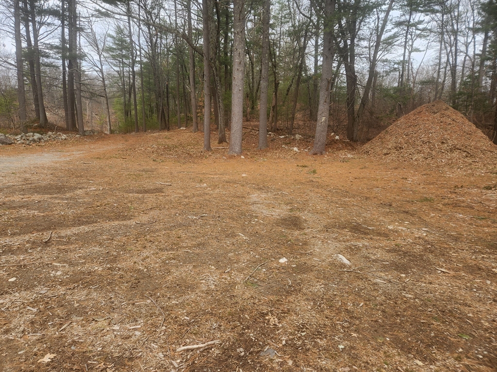 63 Farm Road Sherborn, MA 01770 - Photo 6 of 8 a backyard of a house with trees