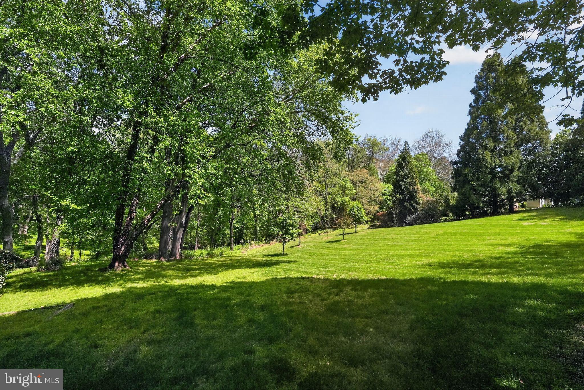 13821 Esworthy Road Darnestown, MD 20874 - Photo 59 of 98 Views from the deck