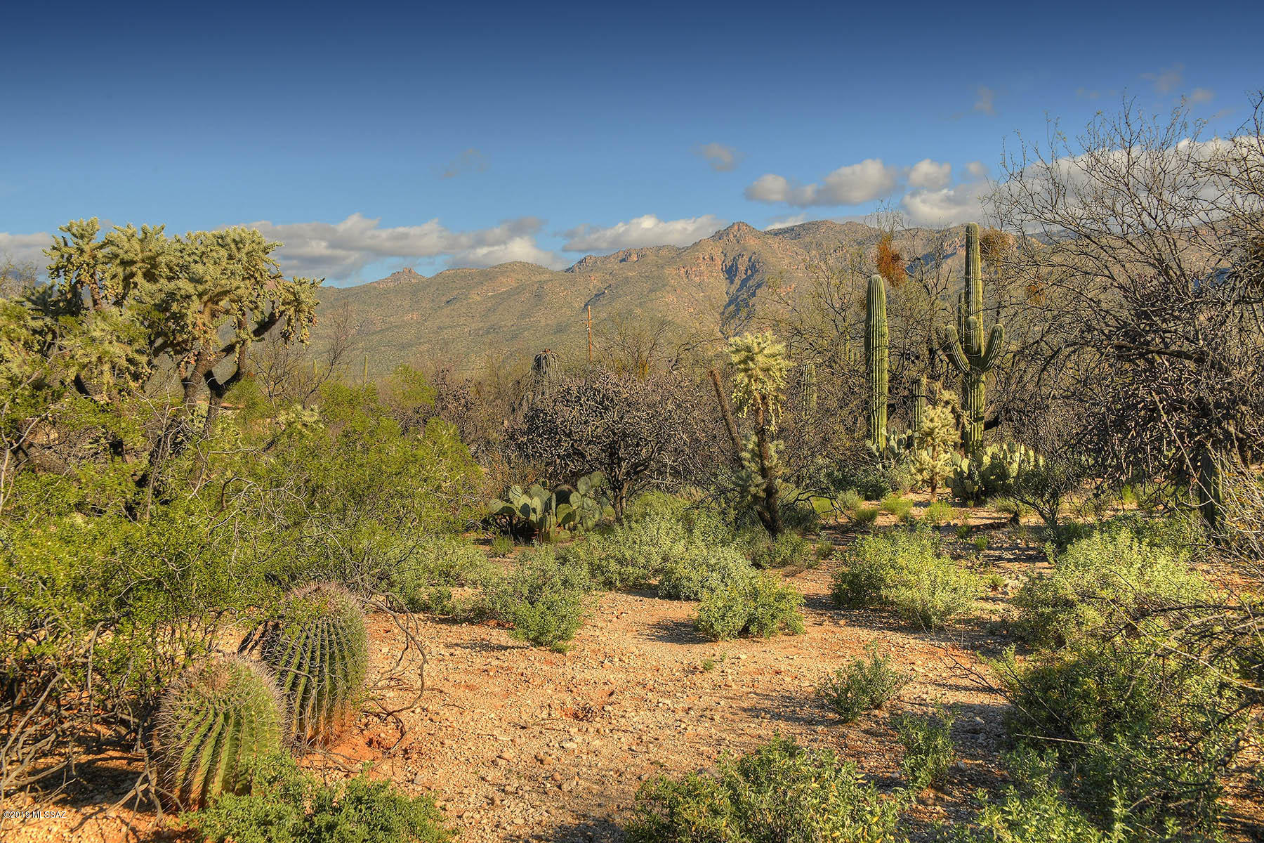 12350 East Prince Road Tucson, AZ 85749 - Photo 36 of 44 Gallery Image 36