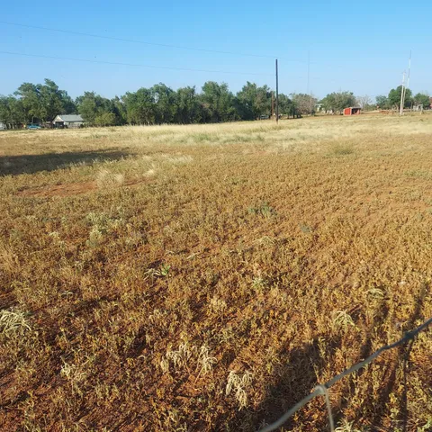 a view of an ocean and city