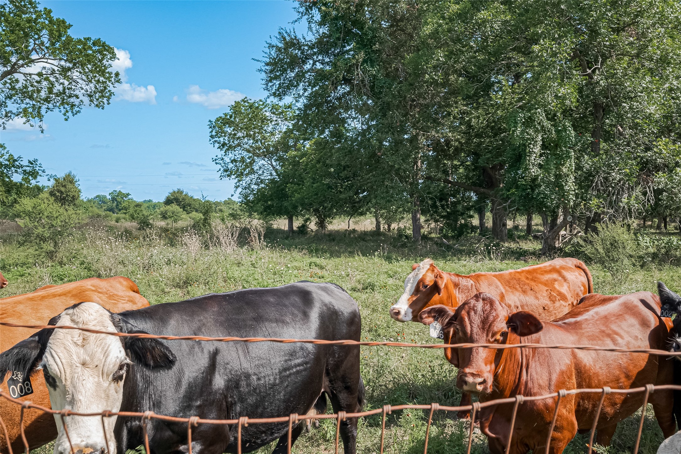 2511 Hartwell Road Brookshire, TX 77423 - Photo 14 of 40 a backyard of a house with table and chairs