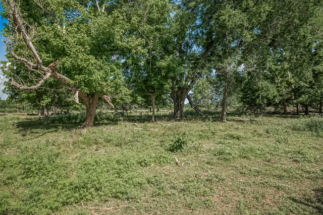 a view of a backyard with large trees and wooden fence