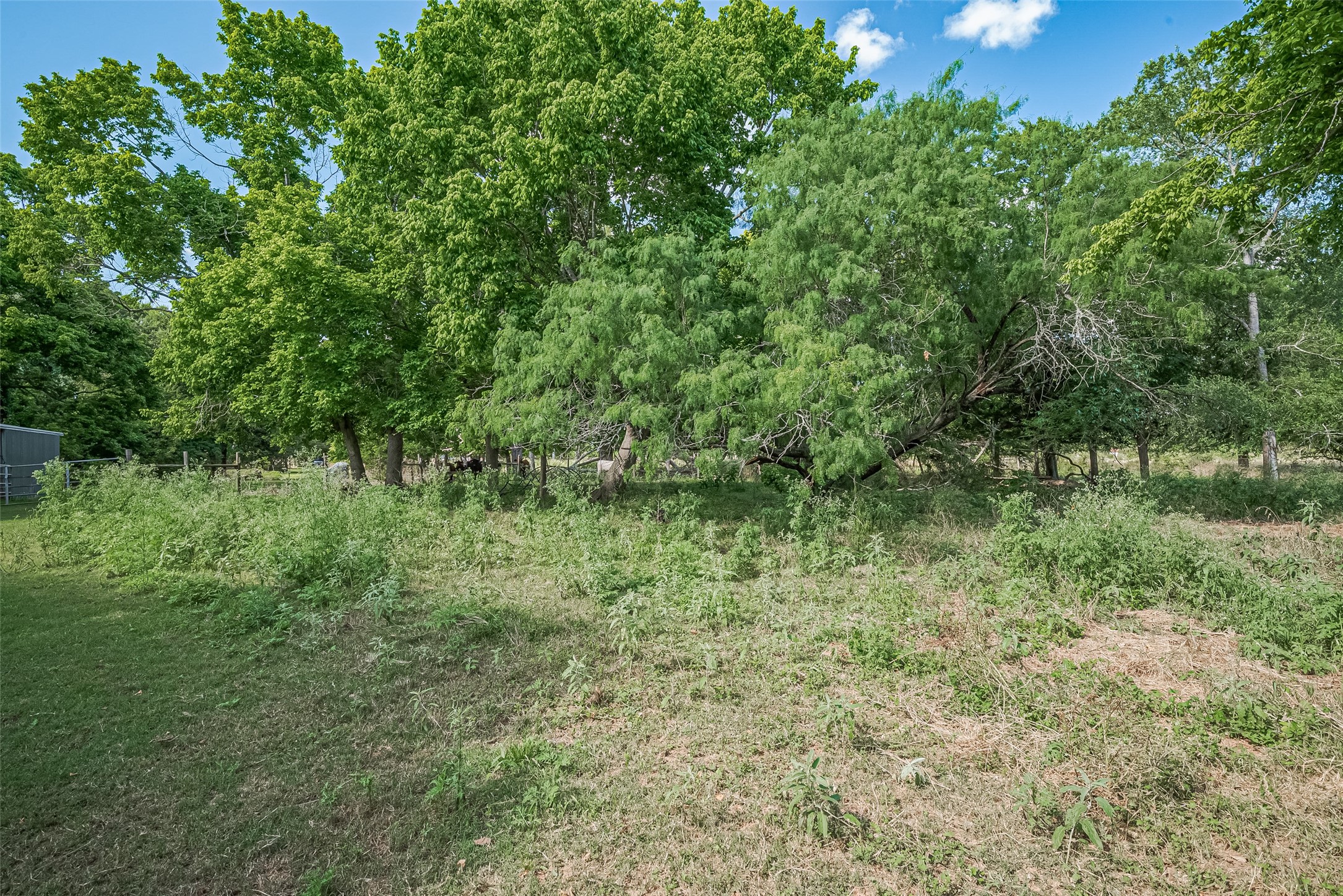 2511 Hartwell Road Brookshire, TX 77423 - Photo 24 of 40 a view of outdoor space and green space
