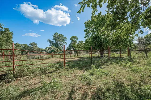 a view of a yard with a tree