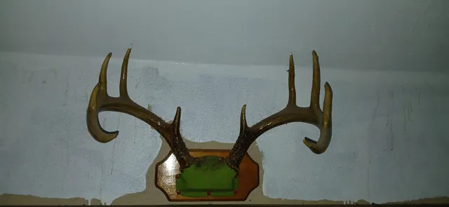 $75,000 | Tbd Fairview Road, Kettle River, MN 55757