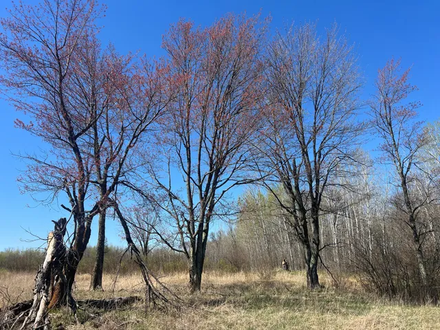 $75,000 | Tbd Fairview Road, Kettle River, MN 55757