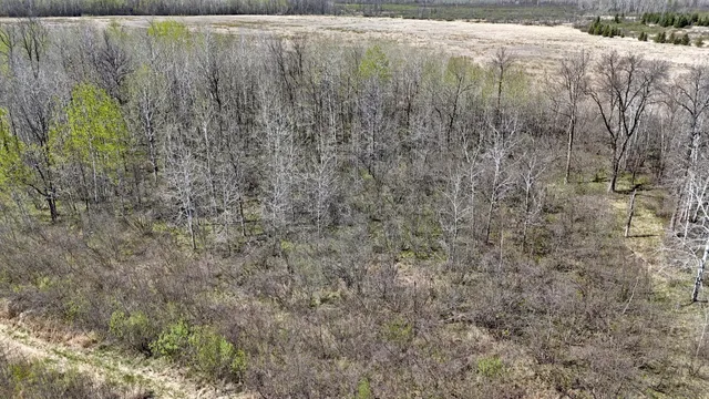 $75,000 | Tbd Fairview Road, Kettle River, MN 55757