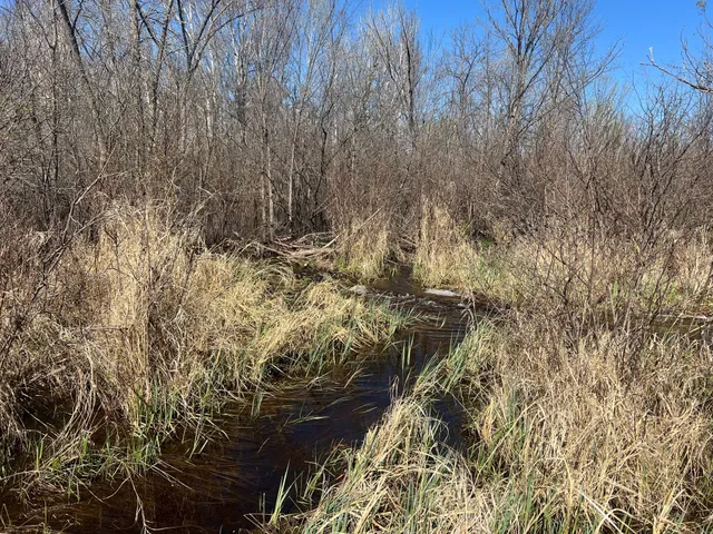 $75,000 | Tbd Fairview Road, Kettle River, MN 55757