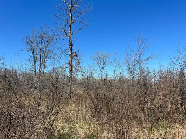 $75,000 | Tbd Fairview Road, Kettle River, MN 55757