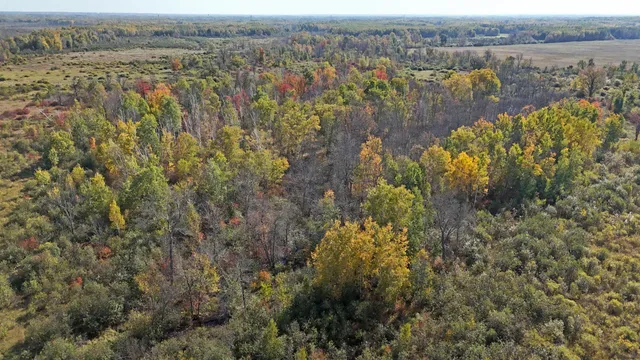 $75,000 | Tbd Fairview Road, Kettle River, MN 55757