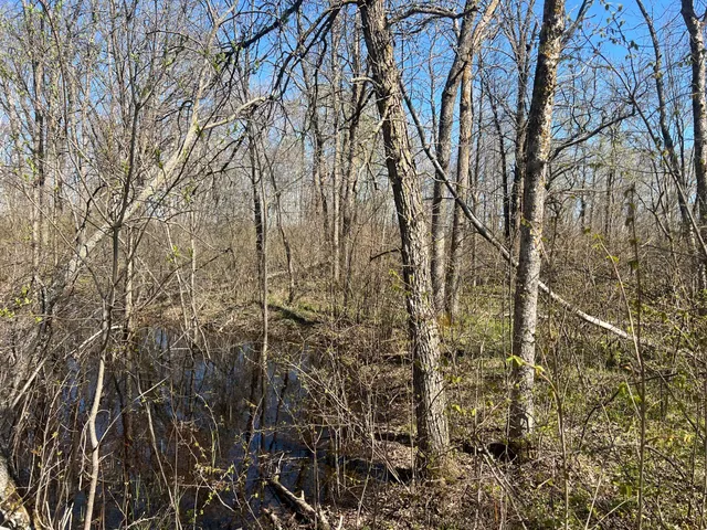 $75,000 | Tbd Fairview Road, Kettle River, MN 55757