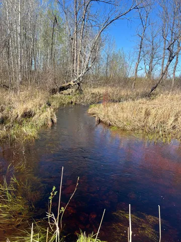 $75,000 | Tbd Fairview Road, Kettle River, MN 55757