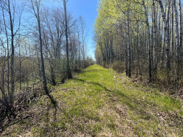 $75,000 | Tbd Fairview Road, Kettle River, MN 55757