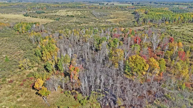 $75,000 | Tbd Fairview Road, Kettle River, MN 55757