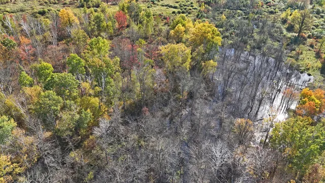 $75,000 | Tbd Fairview Road, Kettle River, MN 55757