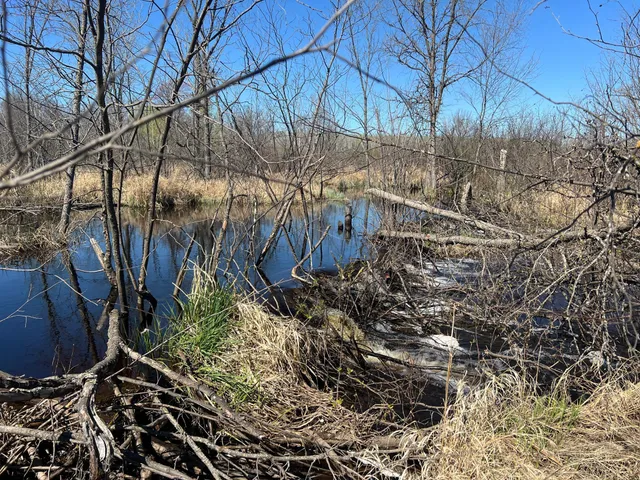 $75,000 | Tbd Fairview Road, Kettle River, MN 55757