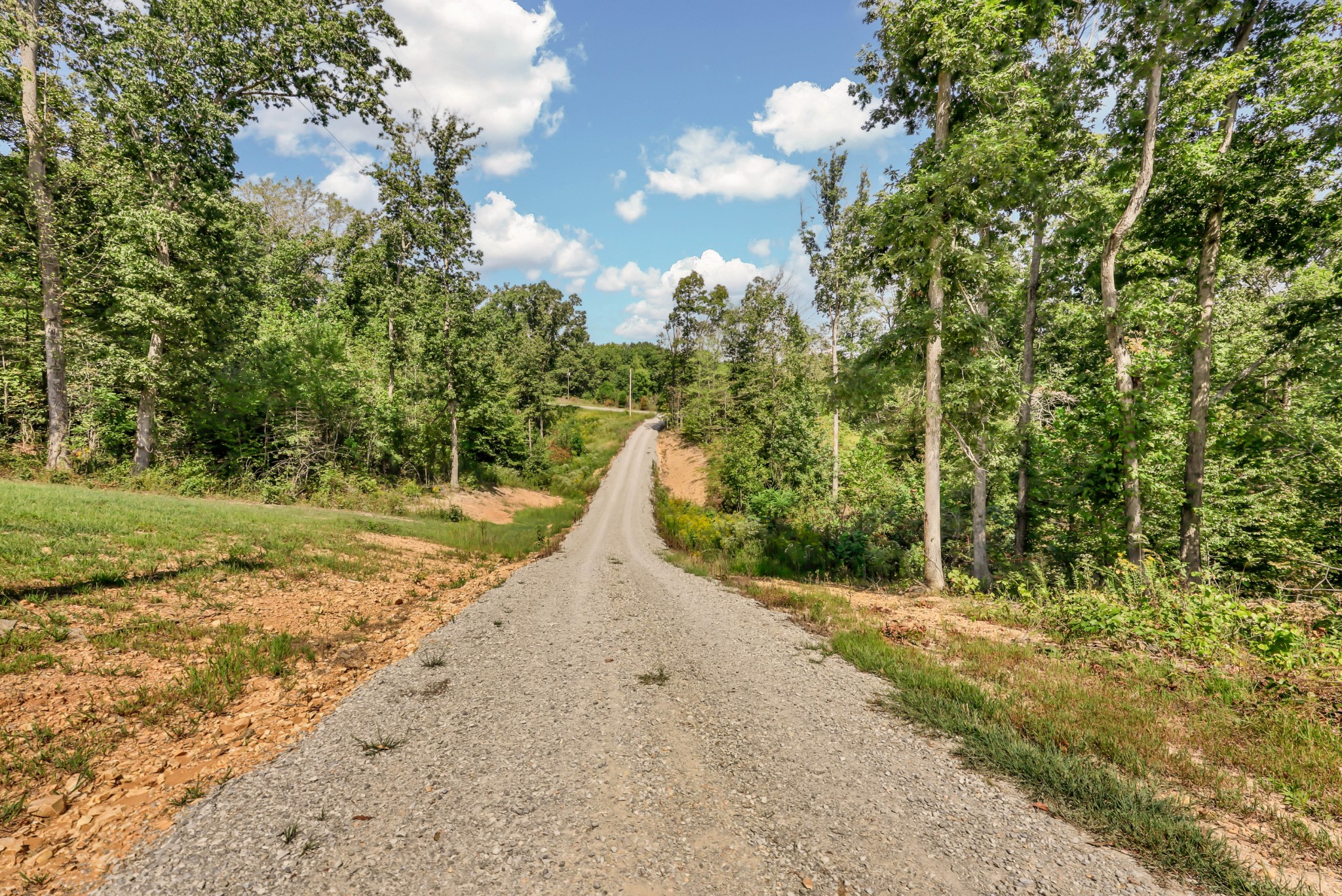 733 Mitchell Road Erin, TN 37061 - Photo 1 of 38 Gallery Image 1