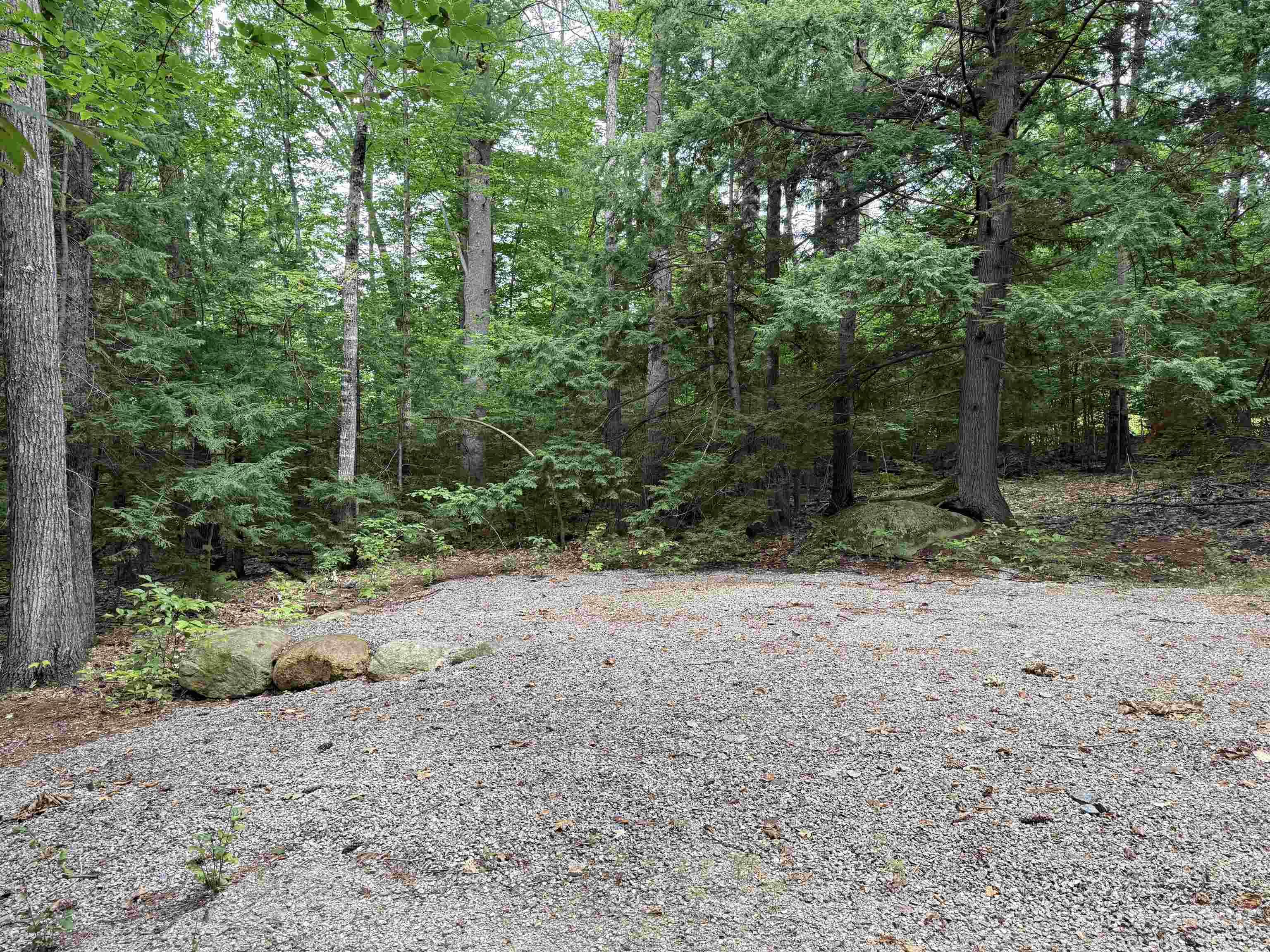 0 Conway Road, Unit 46 Madison, NH 03849 - Photo 10 of 14 Gallery Image 10