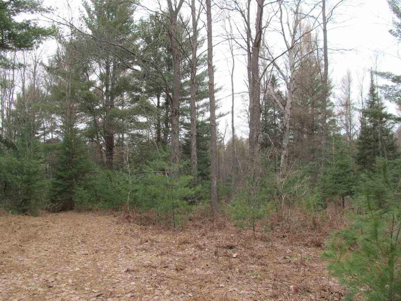 8451 East 18 1/2 Road Manton, MI 49663 - Photo 43 of 46 1885343-42.JPG