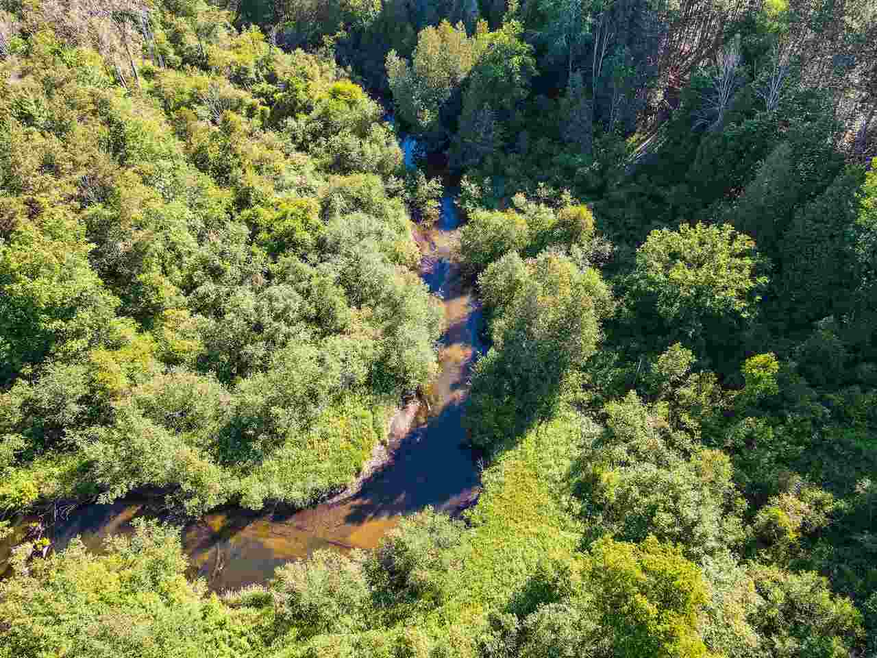 19 Mile Road, Unit 10 ACRES Leroy, MI 49655 - Photo 4 of 14