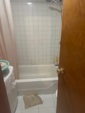 a bathroom with a shower and a bathtub