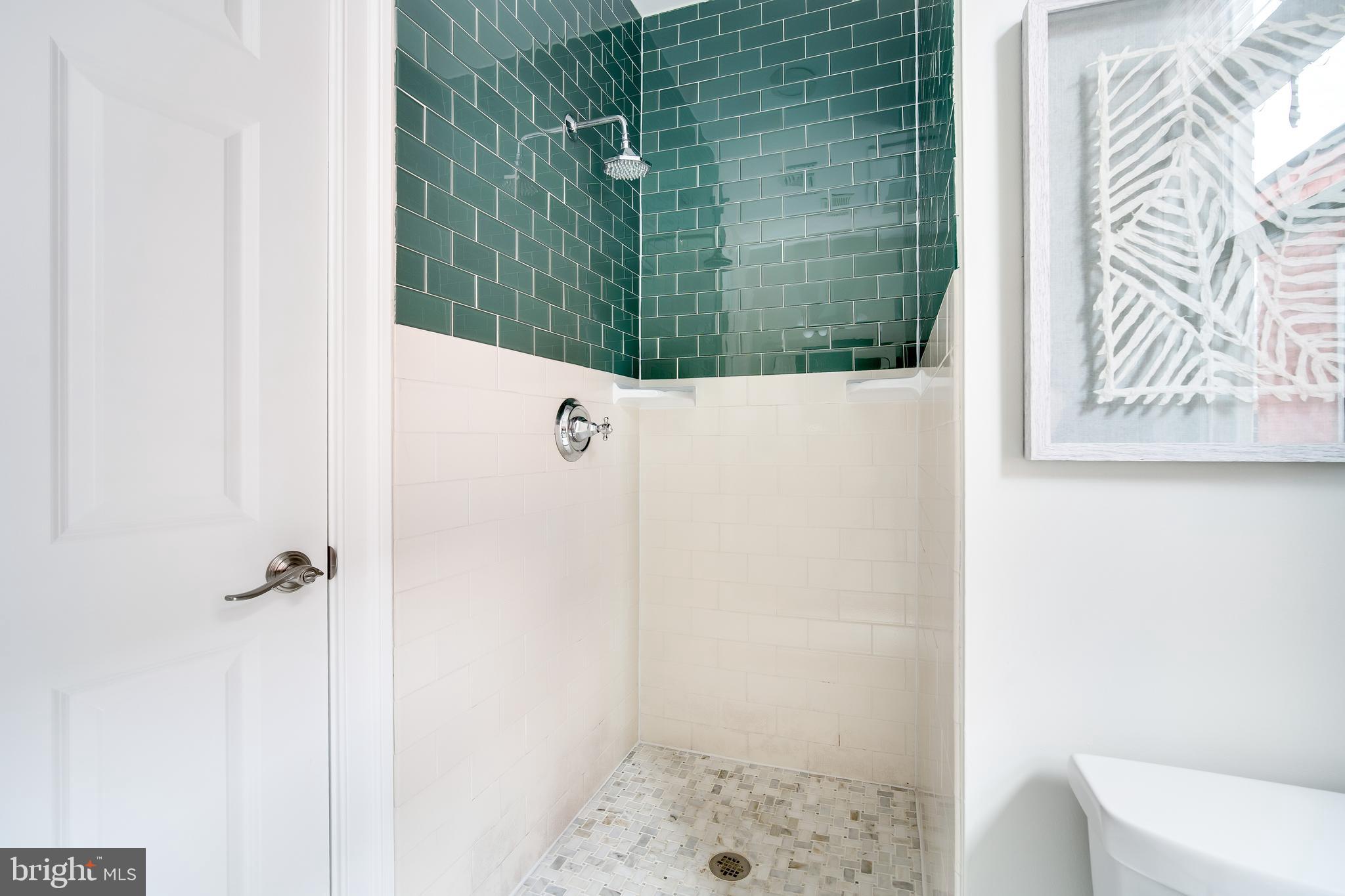 39 S Street Northwest Washington, DC 20001 - Photo 33 of 54 Hall Shower w Beautiful Color Block Subway Tile