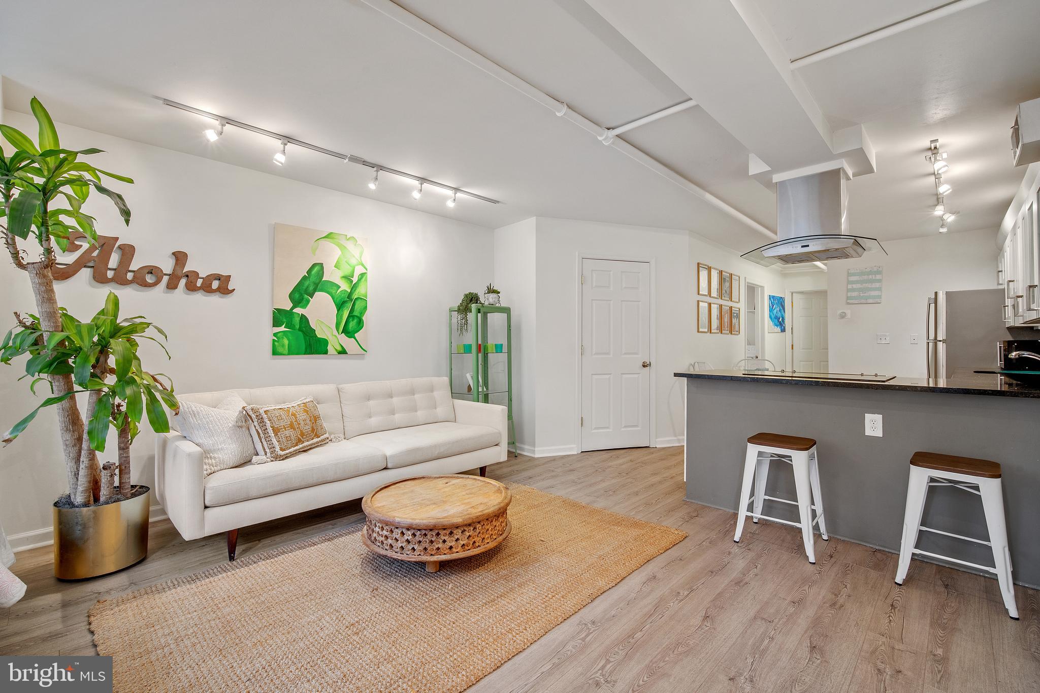 39 S Street Northwest Washington, DC 20001 - Photo 43 of 54 Living Room w Storage Closet