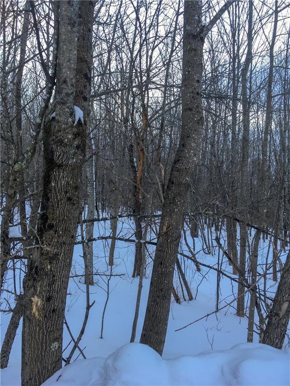 Map 2-lot Map 2-lot Dahlia Farm Road Monroe, ME 04951 - Photo 5 of 10 A peek through the trees of the...